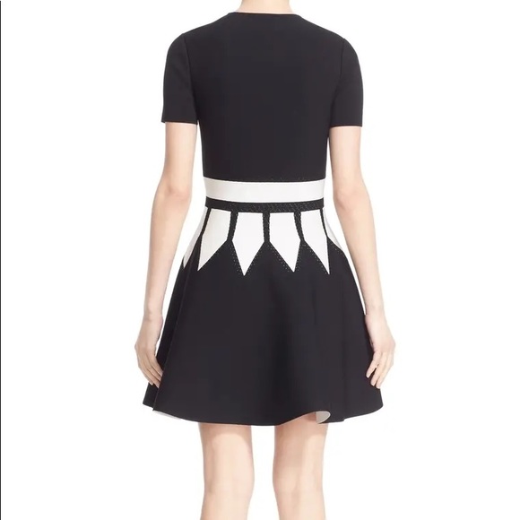ALEXANDER MACQUEEN ntarsia Knit Fit & Flare Dress - Picture 4 of 11